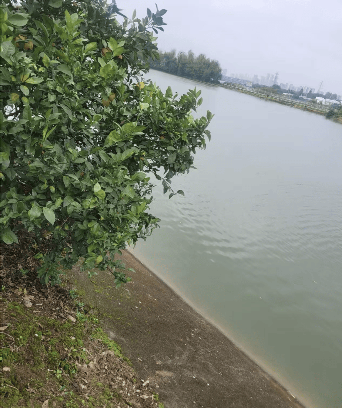 皇冠信用网去哪里弄_华中农业大学一博士生溺水身亡皇冠信用网去哪里弄，武汉警方通报：为溺亡，排除案件，相关工作正在开展