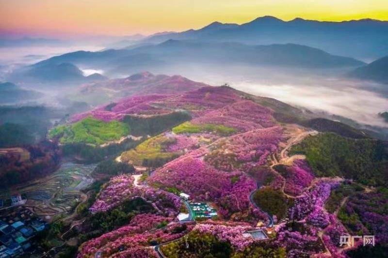 信用網怎么开户_200余场活动+多重福利 三明邀您“过年马上有福”